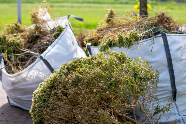Best Yard Cleanup Services  in Summit, AZ